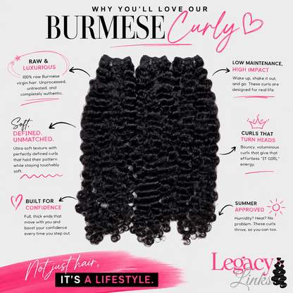 Burmese curly