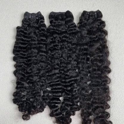 Burmese curly