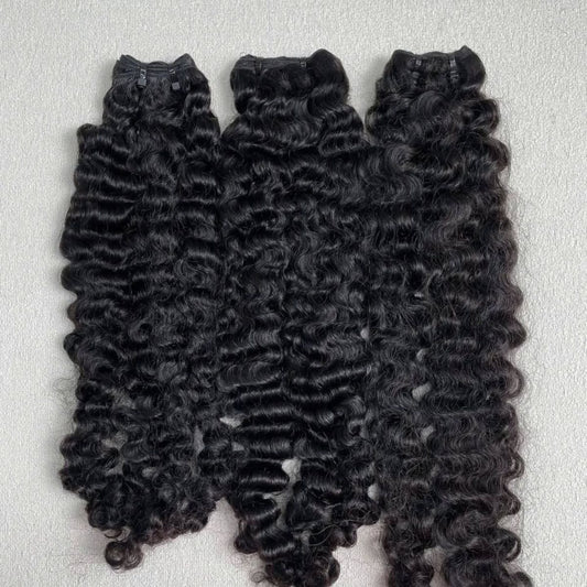 Burmese curly