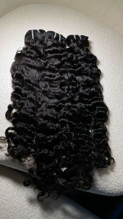 Burmese curly