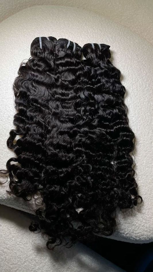 Burmese curly